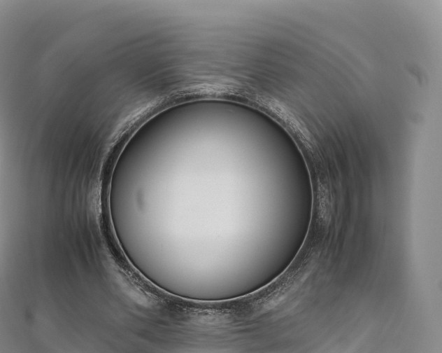 X0000110730486200906191529