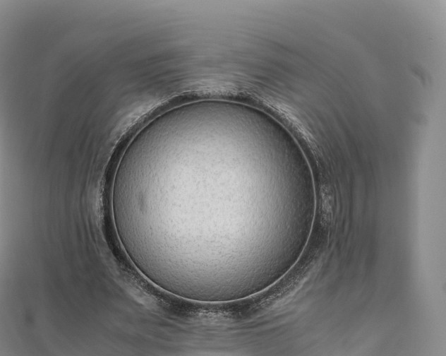 X0000110730487200906191529