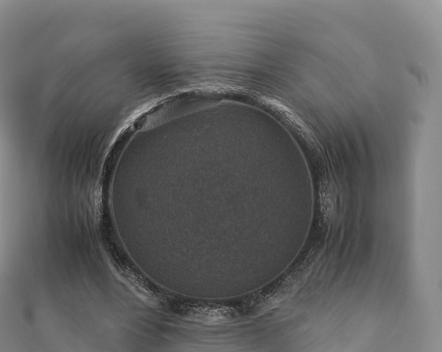 X0000110730488200906191529