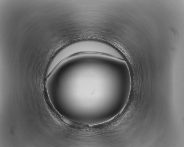 X0000110730489200906191529