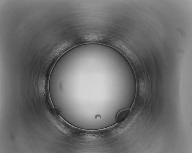 X0000110730490200906191529