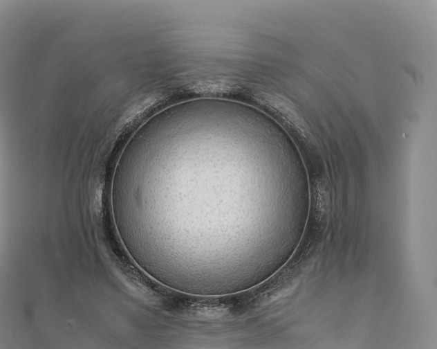 X0000110730491200906191529