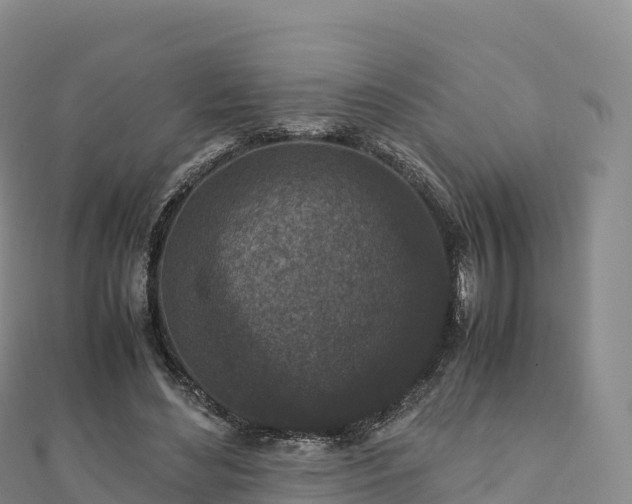 X0000110730492200906191529