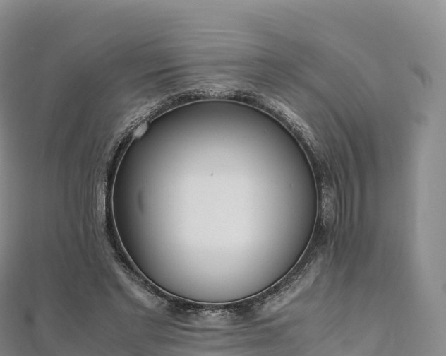 X0000110730493200906191529