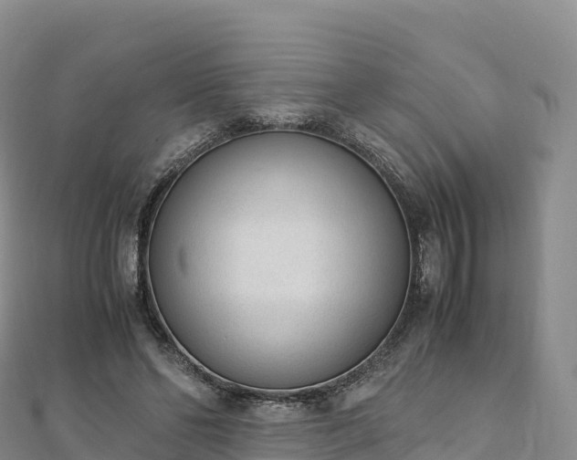 X0000110730494200906191529