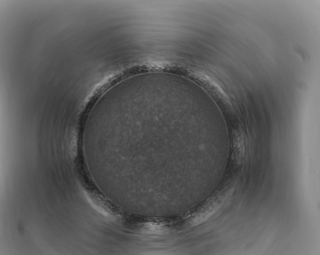 X0000110730496200906191529