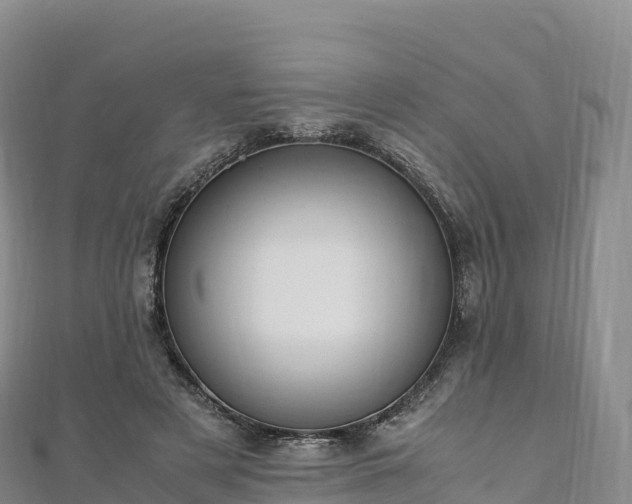 X0000110730497200906191529