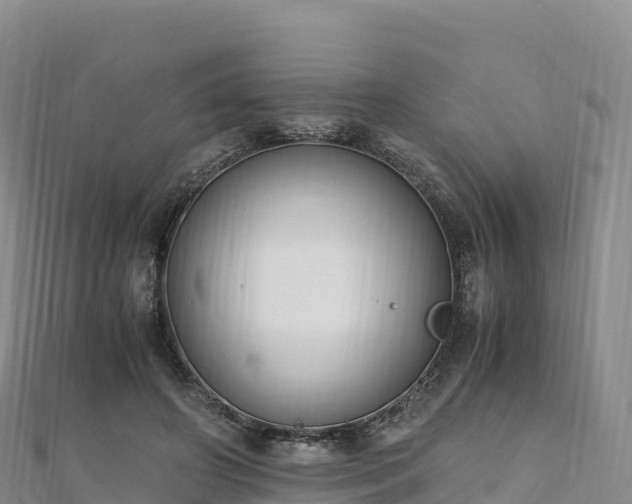 X0000110730498200906191529