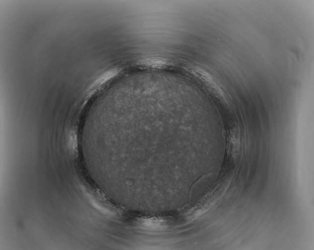 X0000110730500200906191529