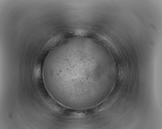 X0000110730502200906191529