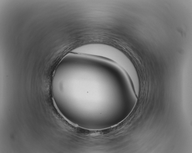 X0000110730505200906191528