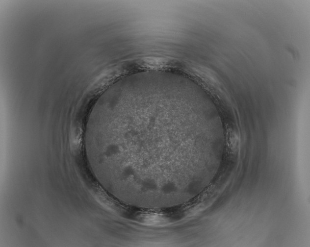 X0000110730507200906191528