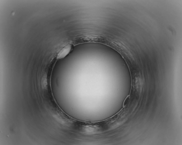 X0000110730508200906191528