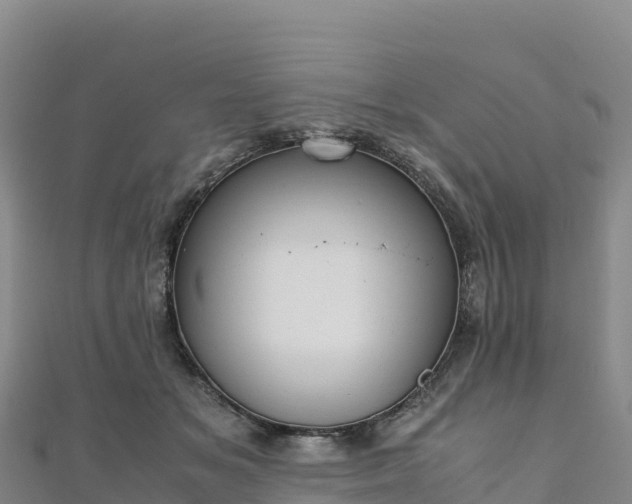 X0000110730509200906191528