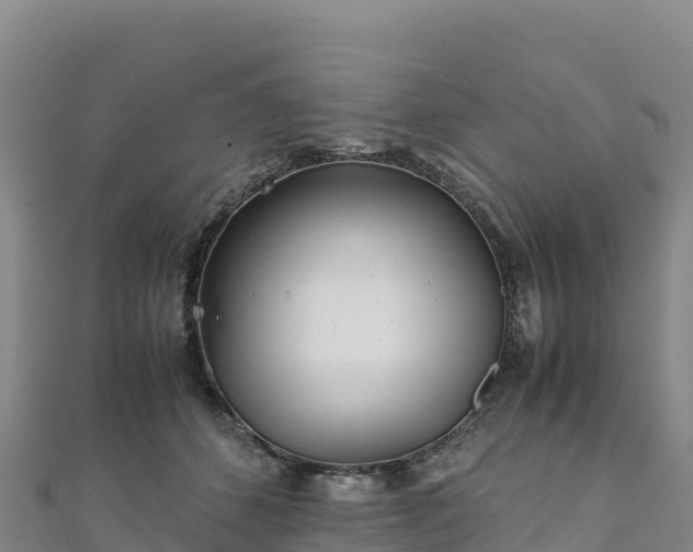 X0000110730512200906191528