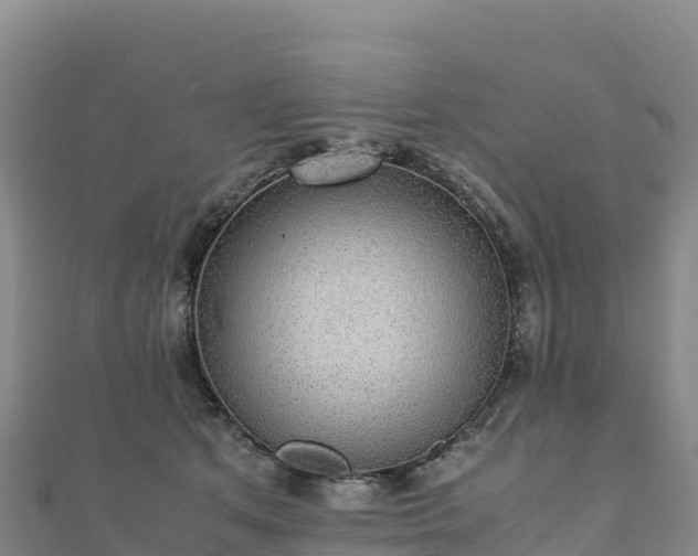 X0000110730513200906191528