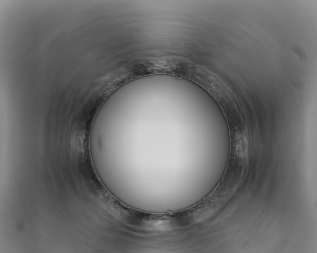 X0000110730514200906191528