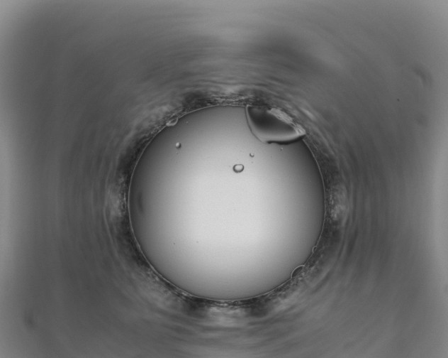 X0000110730515200906191528