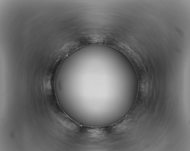 X0000110730516200906191528