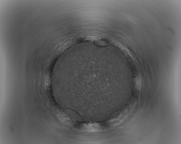 X0000110730517200906191528