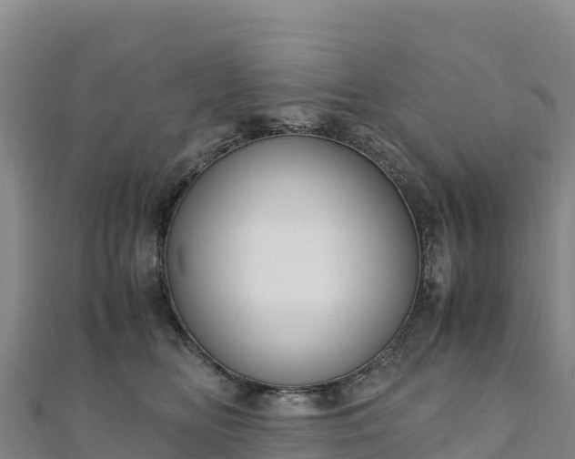 X0000110730518200906191528