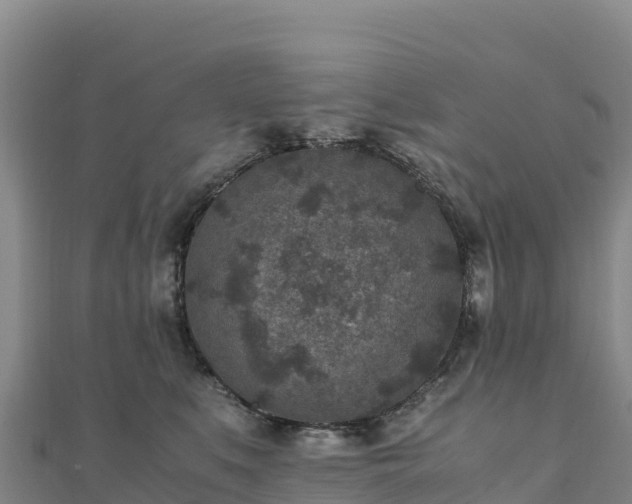 X0000110730519200906191528