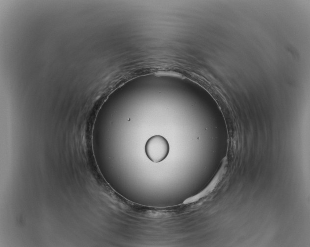 X0000110730520200906191528