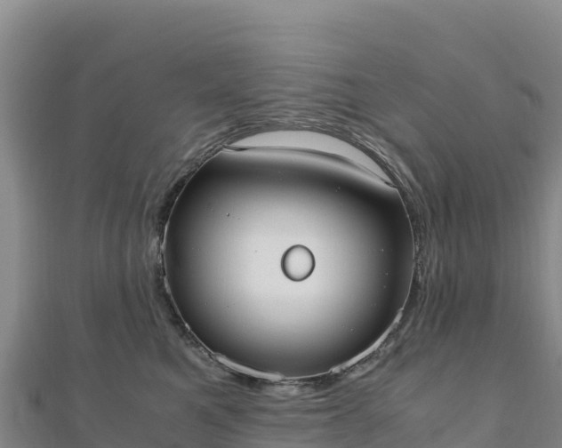 X0000110730521200906191528