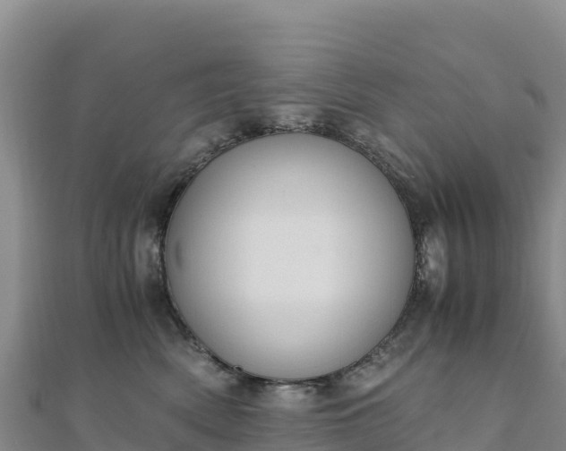 X0000110730522200906191528