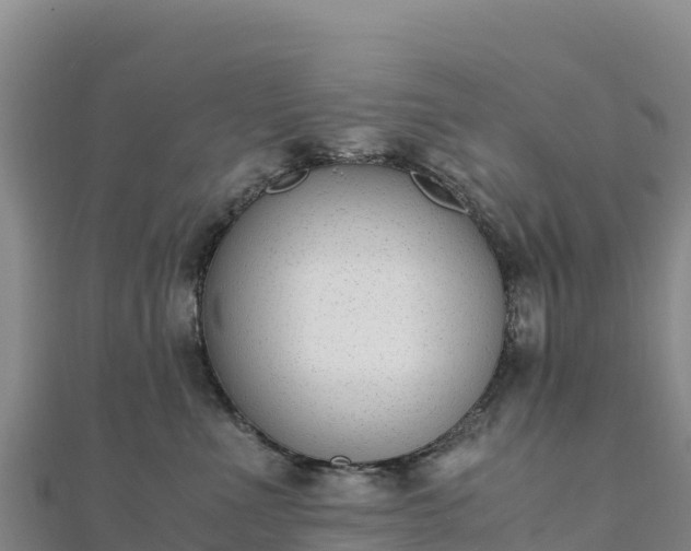 X0000110730523200906191528