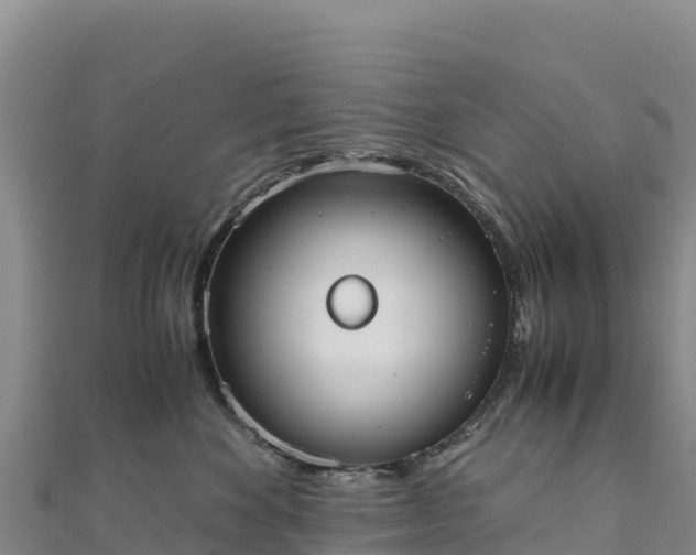 X0000110730524200906191528