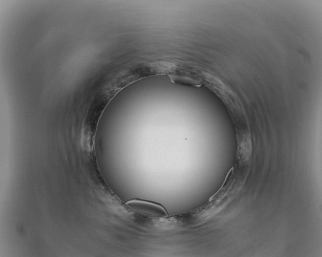 X0000110730525200906191528