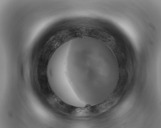 X0000110730526200906191528