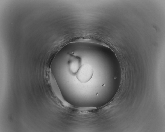 X0000110730528200906191528