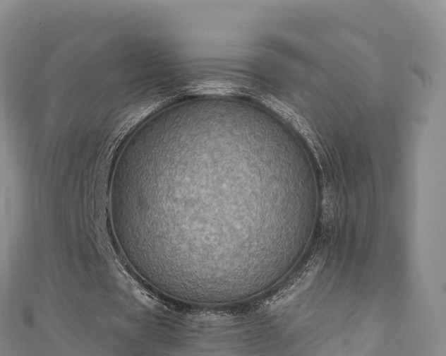 X0000110730529200906191528