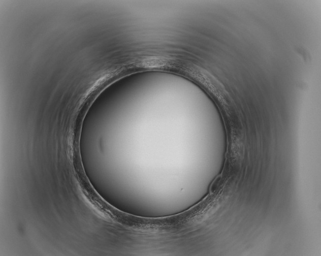 X0000110730530200906191528