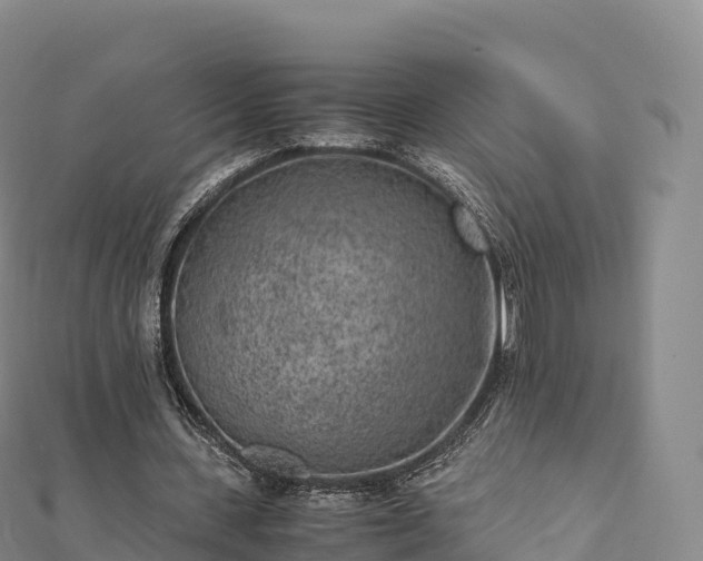 X0000110730531200906191528