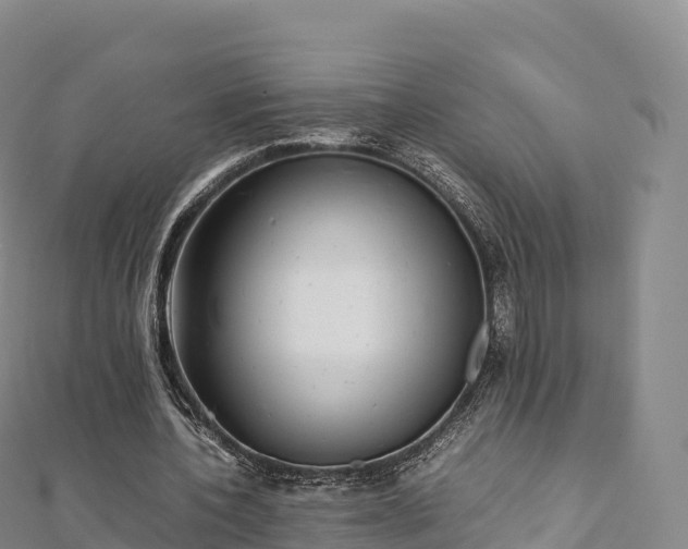 X0000110730532200906191528