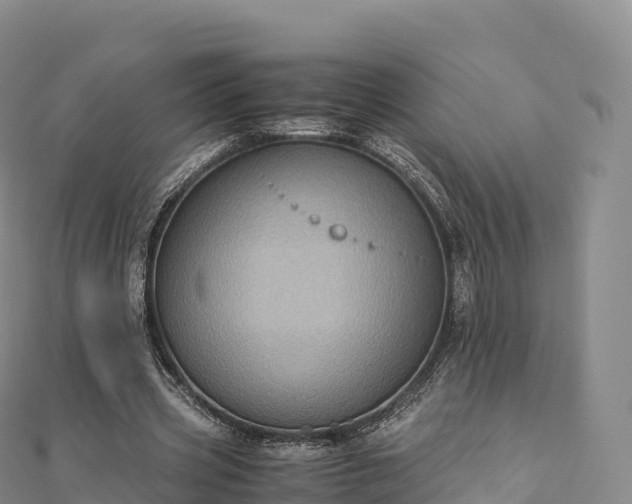 X0000110730533200906191528