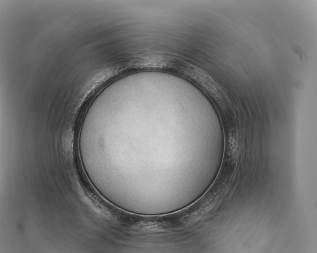 X0000110730534200906191528