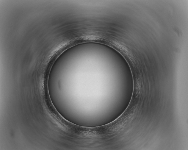 X0000110730535200906191528