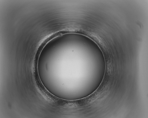 X0000110730536200906191528