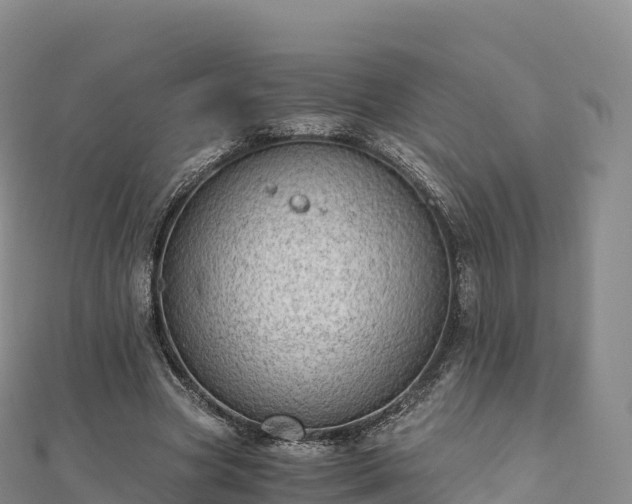 X0000110730537200906191528