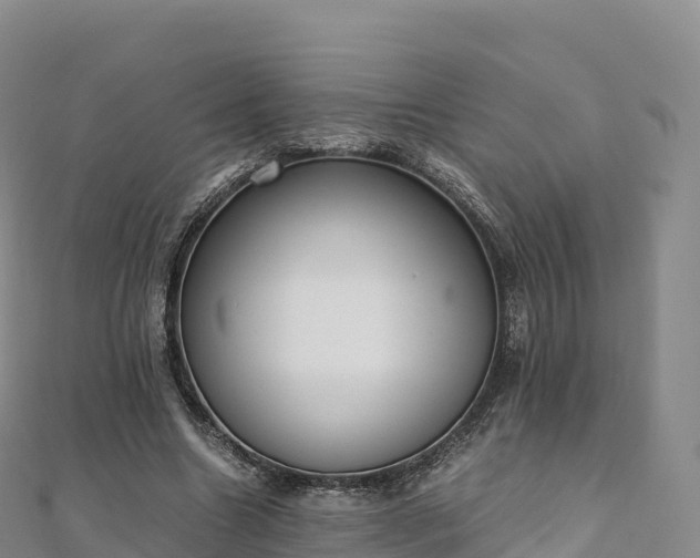 X0000110730538200906191528