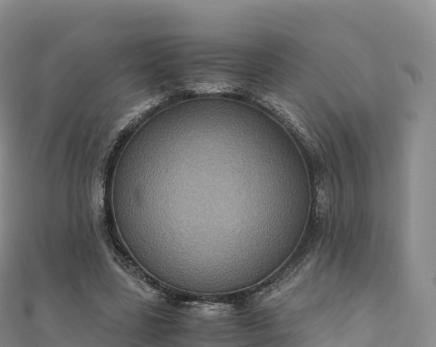 X0000110730539200906191528