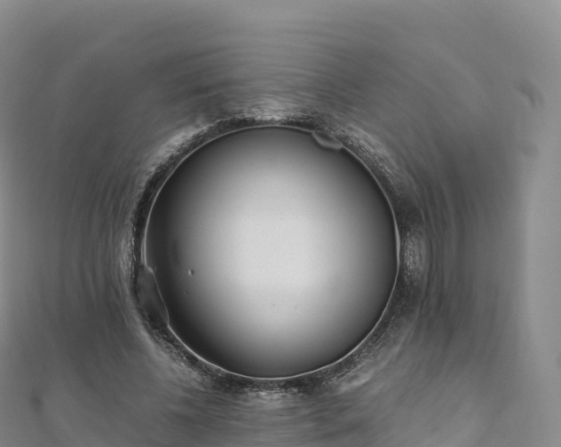 X0000110730540200906191528