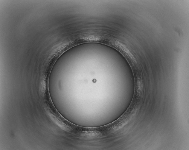 X0000110730541200906191528