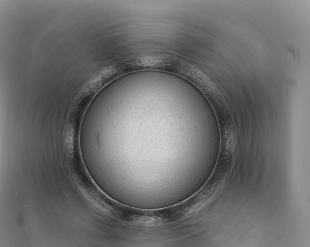 X0000110730542200906191528