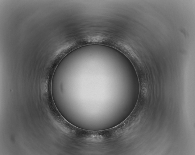 X0000110730543200906191528