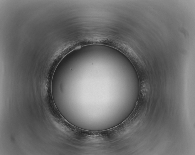 X0000110730544200906191528